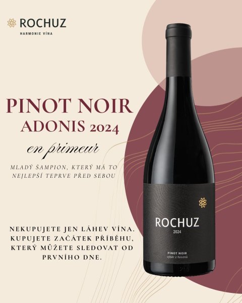 Pinot Noir ADONIS 2024 EN PRIMEUR – mladý šampion, který má to nejlepší teprve před sebou.