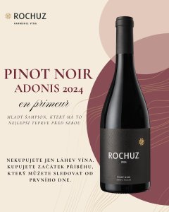 Pinot Noir ADONIS 2024 EN PRIMEUR